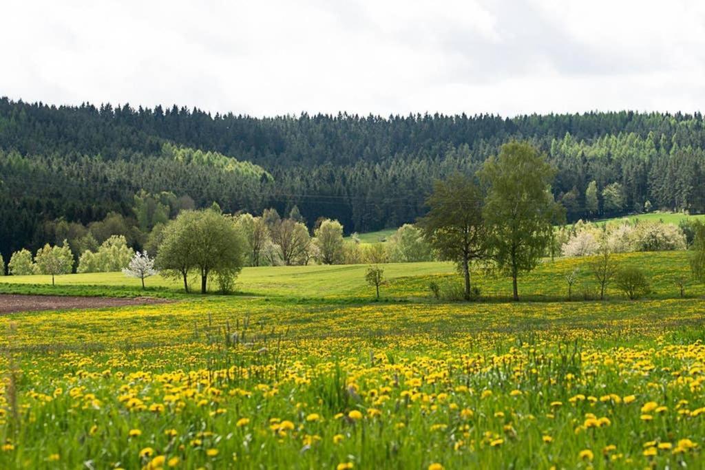 Gaestehaus Kohlberg Kohlberg (Neustadt an der Waldnaab) Exterior foto